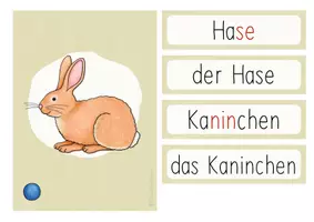 Vorschau - Fördermaterial/Inklusion - Bildkarten - Hof-& Haustiere (DAZ/ DAF) - Seite 3