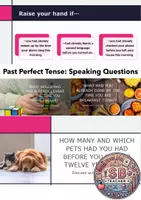 Vorschau - Spiele - Past Perfect Tense: Speaking Questions - Deckblatt