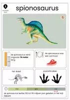Voorbeeld - Informatieve Dino-kaarten voor Groep 1, 2 en 3 - Pagina 1