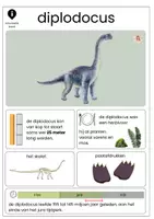 Voorbeeld - Informatieve Dino-kaarten voor Groep 1, 2 en 3 - Pagina 3