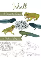 Vorschau - selbst erstellte Cliparts/Grafiken - Clipart Frosch Lebenszyklus - Metamorphose Clip Art mit realistischen Illustrationen + kommerzielle Lizenz - Seite 1