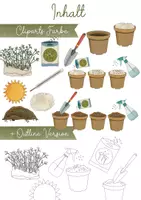 Vorschau - selbst erstellte Cliparts/Grafiken - Clipart Kresse säen - Kresse Anpflanzen Clip Art mit realistischen Illustrationen + kommerzielle Lizenz - Seite 1