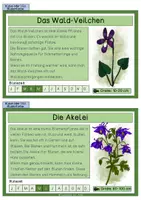 Vorschau - Mal- und Bastelvorlagen - Materialpaket - Waldpflanzen - Seite 2