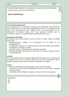 Vorschau - Stundenentwürfe - Arbeitsblatt: Das Turner Syndrom (Vererbung) - Seite 2