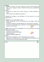 Vorschau - Stundenentwürfe - Arbeitsblatt: Das Turner Syndrom (Vererbung) - Seite 3