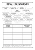 Vorschau - Arbeitsblätter - Stressmanagement nach Gert Kaluza Arbeitsblatt + Stationsarbeit - Seite 3