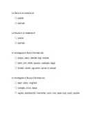 anteprima - Esercizi - Verifica di geografia - Pagina 2