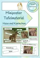 Vorschau - Poster - Miniposter/Tafelmaterial - Hase und Kaninchen - Deckblatt