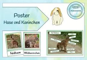 Vorschau - Poster - Miniposter/Tafelmaterial - Hase und Kaninchen - Seite 1