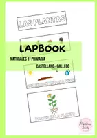 Vista previa - Manualidades / Dibujos para colorear - LAPBOOK - Las plantas 1ºED.PRIMARIA - Portada