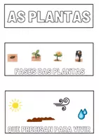 Vista previa - Manualidades / Dibujos para colorear - LAPBOOK - Las plantas 1ºED.PRIMARIA - página 3