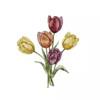 Vorschau - selbst erstellte Cliparts/Grafiken - Cliparts Ostern Frühling Allerlei Sticker Wasserfarbe - Seite 2
