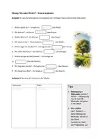 Vorschau - Arbeitsblätter - Übung Wo:Wohin mit Akkusativ und Dativ - Deckblatt