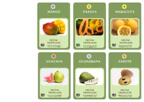 Aperçu - Jeux - Jeu des 6 familles - Sabores del Caribe - Page de couverture