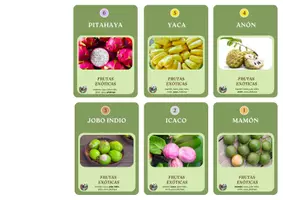 Aperçu - Jeux - Jeu des 6 familles - Sabores del Caribe - Page 3