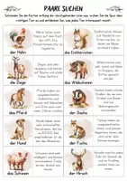 Vorschau - Bildkarten - Tierfußspuren Haus- & Wildtiere | Lernkarten für Kindergarten & Vorschule - Seite 1