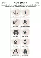 Vorschau - Bildkarten - Tierfußspuren Haus- & Wildtiere | Lernkarten für Kindergarten & Vorschule - Seite 2
