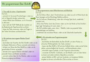 Vorschau - Unterrichtsreihen - Programmieren mit Bee-Bots® - Seite 3
