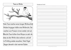 Vorschau - Stundenentwürfe - Tiere im Winter - Differenzierte Tafel-, Abschreib- und Ansagetexte - Seite 2