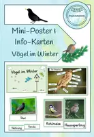 Vorschau - Poster - Miniposter/Infokarten - Vögel im Winter (Klasse 1-2) - Deckblatt