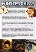 Vorschau - Stationenlernen - Tiere im Winter, Stationenarbeit , Klasse 5,6 - Seite 2