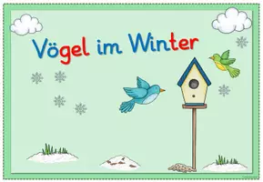 Vorschau - Poster - Miniposter/Infokarten - Vögel im Winter (Klasse 1-2) - Seite 3
