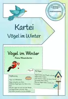 Vorschau - Arbeitsblätter - Wissenskartei/Abschreibkartei Vögel im Winter (Klasse 1) - Deckblatt