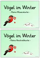 Vorschau - Arbeitsblätter - Wissenskartei/Abschreibkartei Vögel im Winter (Klasse 1) - Seite 1