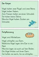 Vorschau - Arbeitsblätter - Wissenskartei/Abschreibkartei Vögel im Winter (Klasse 1) - Seite 2