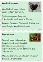 Vorschau - Arbeitsblätter - Wissenskartei/Abschreibkartei Vögel im Winter (Klasse 1) - Seite 3