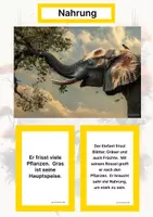 Vorschau - Stationenlernen - Die Tierwelt der 7 Kontinente - Komplettes Lernset zur kosmischen Erziehung - Seite 2
