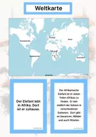 Vorschau - Stationenlernen - Die Tierwelt der 7 Kontinente - Komplettes Lernset zur kosmischen Erziehung - Seite 3