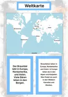Vorschau - Stationenlernen - Der Braunbär – Steckbrief inklusive – Tiere Europas – Montessori Lernkarten (Kontinente entdecken) - Seite 2