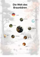 Vorschau - Stationenlernen - Der Braunbär – Steckbrief inklusive – Tiere Europas – Montessori Lernkarten (Kontinente entdecken) - Seite 3