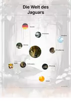 Vorschau - Stationenlernen - Der Jaguar – Steckbrief inklusive – Tiere Südamerikas – Montessori Lernkarten (Kontinente entdecken) - Seite 3