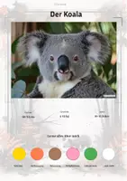 Vorschau - Arbeitsblätter - Der Koala – Steckbrief inklusive – Tiere Australiens – Montessori Lernkarten (Kontinente entdecken) - Deckblatt