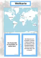 Vorschau - Arbeitsblätter - Der Koala – Steckbrief inklusive – Tiere Australiens – Montessori Lernkarten (Kontinente entdecken) - Seite 2