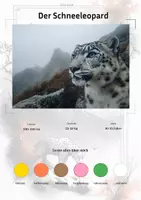 Vorschau - Arbeitsblätter - Der Schneeleopard – Steckbrief inklusive – Tiere Asiens – Montessori Lernkarten (Kontinente entdecken) - Deckblatt