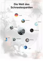Vorschau - Arbeitsblätter - Der Schneeleopard – Steckbrief inklusive – Tiere Asiens – Montessori Lernkarten (Kontinente entdecken) - Seite 3