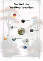 Vorschau - Stationenlernen - Der Weißkopfseeadler – Steckbrief inklusive – Tiere Nordamerikas – Montessori Lernkarten (Kontinente entdecken) - Seite 3