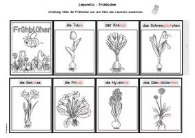 Vorschau - Arbeitsblätter - Frühblüher Leporello Silbenschrift, Klasse 1, DaZ, Förderunterricht, Förderschule - Seite 1
