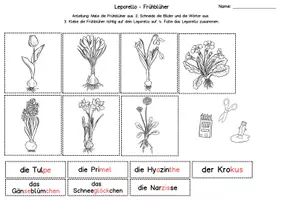 Vorschau - Arbeitsblätter - Frühblüher Leporello Silbenschrift, Klasse 1, DaZ, Förderunterricht, Förderschule - Seite 3