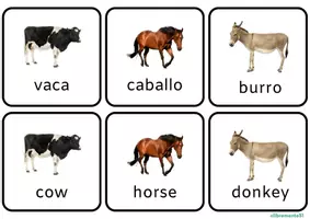 Vista previa - Tarjetas / Manipulativos - Memory animales - CASTELLANO INGLÉS - Portada