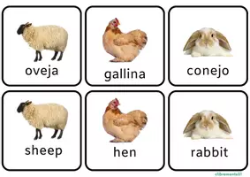 Vista previa - Tarjetas / Manipulativos - Memory animales - CASTELLANO INGLÉS - página 2