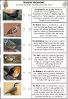 Vorschau - Arbeitsblätter - Heimische Wintervögel Arbeitsblätter und Quiz + Interactive - Seite 1
