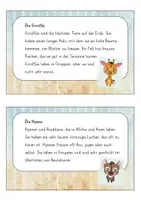 Vorschau - Fördermaterial/Inklusion - Abschreibkartei Tiere ab Klasse 2 - Seite 2
