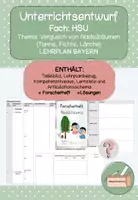 Vorschau - Stundenentwürfe - UNTERRICHTSSTUNDE NADELBÄUME VERGLEICHEN | HSU 3/4. Klasse | digitale Medien | Lehrplan Bayern - Deckblatt