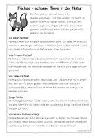 Vorschau - Arbeitsblätter - Übungsheft: LESEN und VERSTEHEN: Tiere in unseren Wäldern (Teil 1) - Seite 3