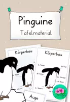 Vorschau - Arbeitsblätter - wachsendes Pinguin Materialpaket - Seite 1