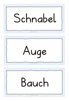Vorschau - Bildkarten - Pinguine 🐧 Körperbau Tafelmaterial - Seite 3